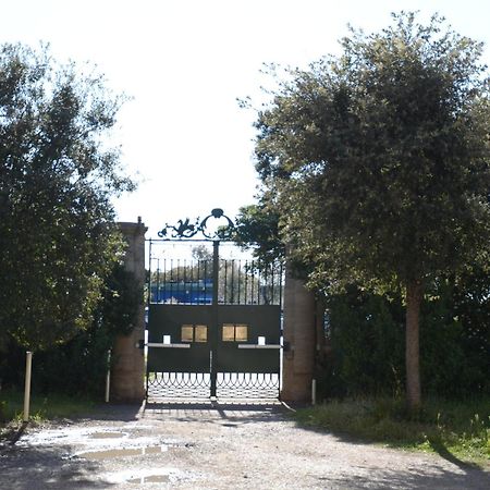 Villa Anselmi - Arteindiretta 利沃诺 外观 照片